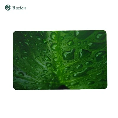 Potpuni ispis Eco Friendly kartice